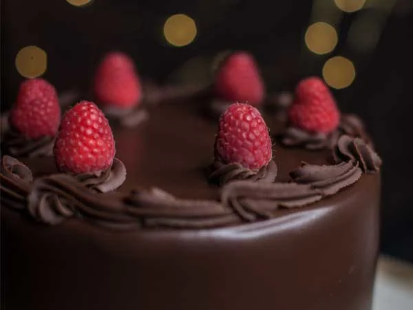 Rich Chocolate House Cakes In Folsom, CA